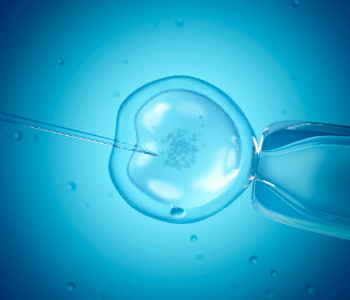 IVF image