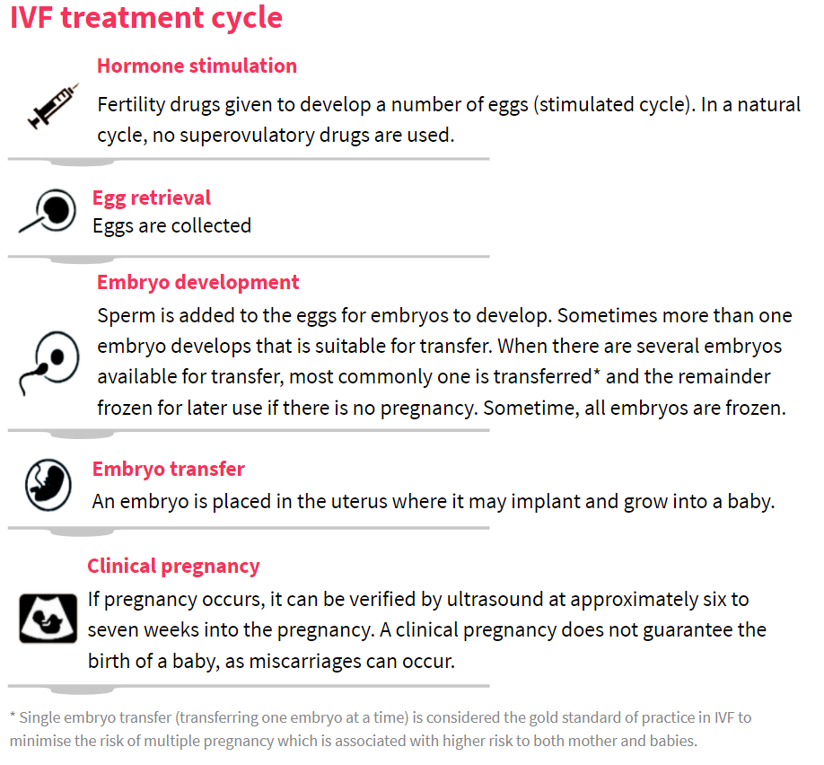 The IVF process