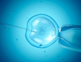 IVF image