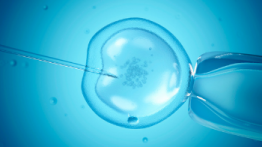 IVF image