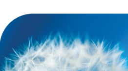 Conditions for Registration image 