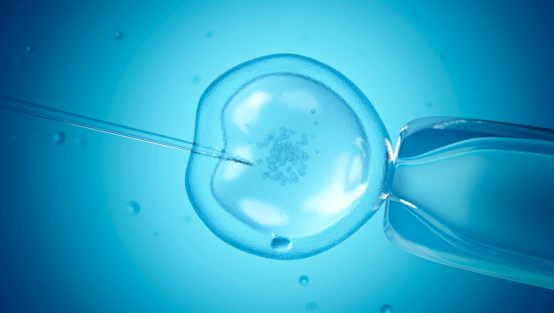 IVF